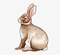 Image result for Wild Rabbit Clip Art