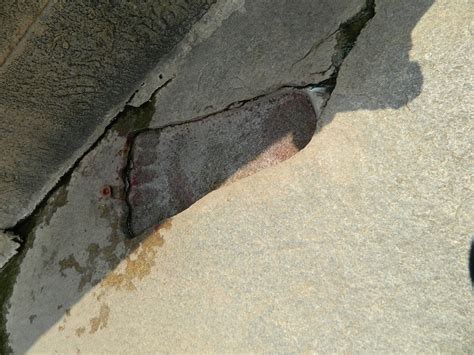 CURRY COMPASS - PASSION TO INDIA (2026) All You Need to Know BEFORE You ...