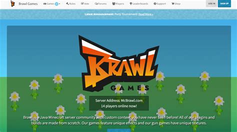 How to Play Hypixel in Java 的图像结果