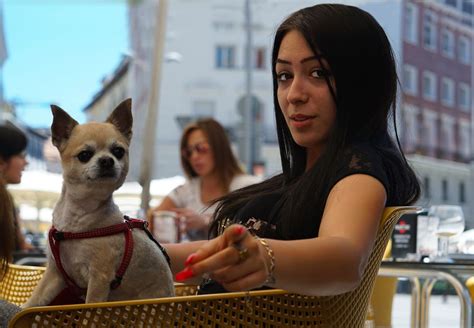 "Señorita con Chihuahua"/ Madrid Foto & Bild | spain, spezial, woman ...