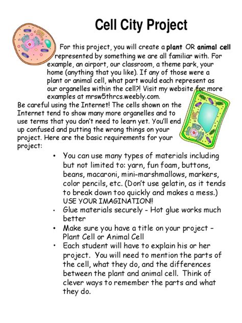 Image result for Cell Project Examples