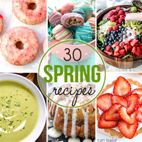 Image result for Spring Form Recipes