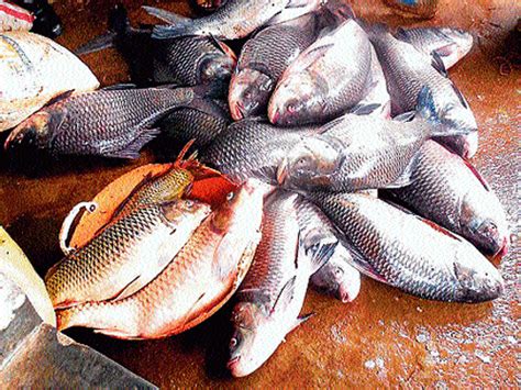 Online food online from Chennai, Coimbatore, Tirupattur, Madurai ...