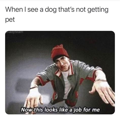 Front Camera Meme 的图像结果