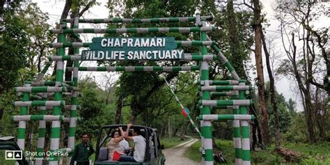 Chapramari Watchtower (Gorumara National Park) - 2021 What to Know ...