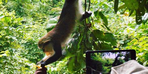 Tafi Atome Tourism (2023): Best of Tafi Atome, Ghana - Tripadvisor