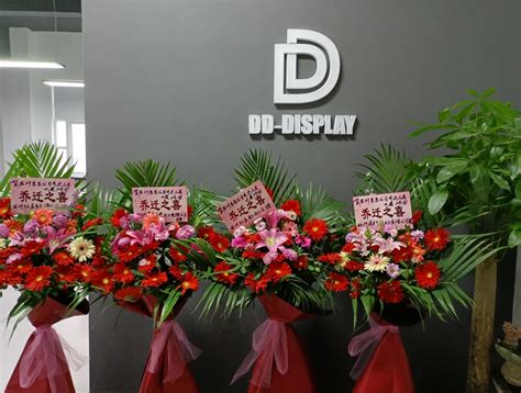 Company Overview - Suzhou Dongdong Internaitonal Trading Co., Ltd.