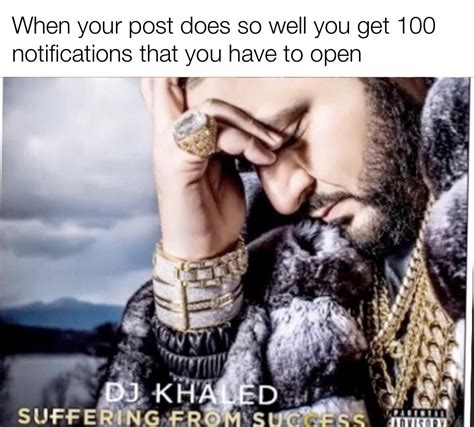 Suffering from success : r/memes