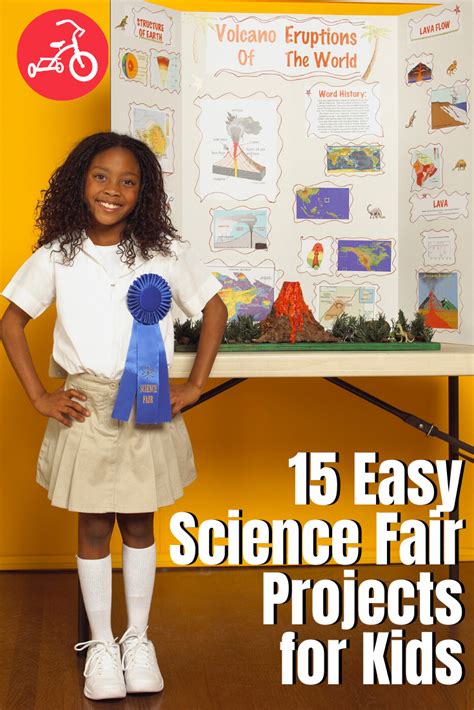 Image result for Simple Science Fair Projects