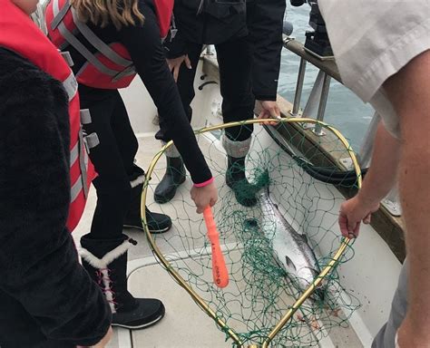 SPORT FISHING KETCHIKAN, ALASKA - All You Need to Know BEFORE You Go ...
