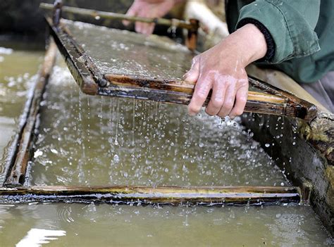 Image result for Chinese Paper Making Process