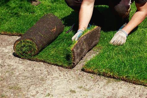 Cost to Install Sod - Contractor's Guide [2024]