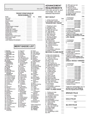 Fillable Online ADVANCEMENT REQUIREMENTS MERIT BADGE LIST Fax Email ...