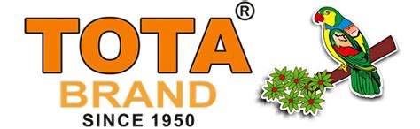 Buy Tota Holi Ke Rang Holi Colour | Organic Holi Gulal | EN-71 ...