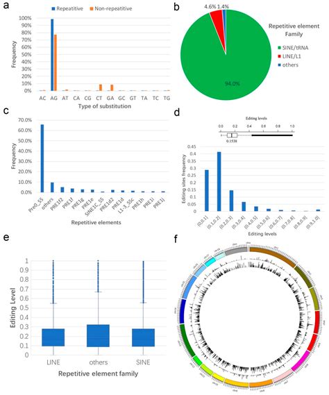 Genome-Wide Investigation and Functional Analysis of Sus scrofa RNA ...