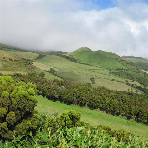 RESERVA FLORESTAL DE RECREO DE MACELAS (2026) All You Need to Know ...