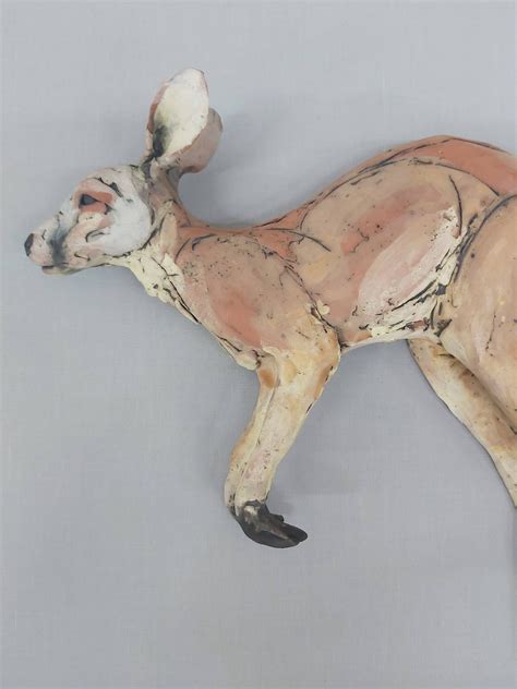 Kangaroo (Macropus Genus) - James Ort