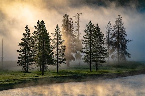 What Does Emmanuel Mean? God With Us Then, Now, and Always