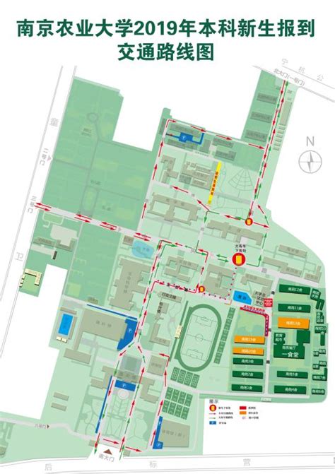 奋进启航！南京大学举行2023级本科新生开学典礼暨开学第一课_澎湃号·政务_澎湃新闻-The Paper