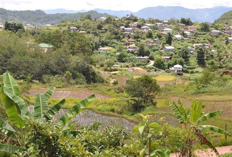 Province 的图像结果