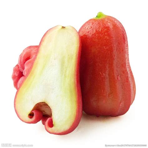 Live plants online buy home garden kitchen garden with pot healthy ...