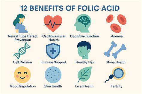 Benefits Folic Acid Men