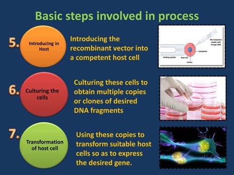 Biotechnology Process 的图像结果