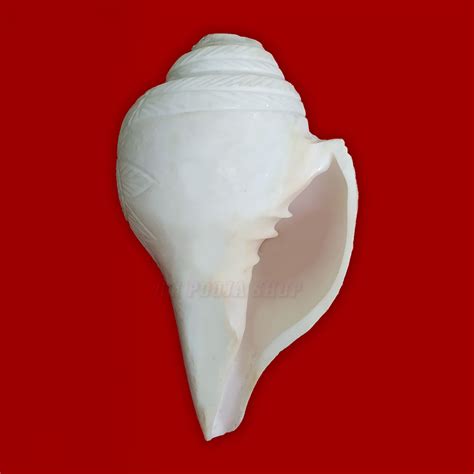Religious Flower Carving Natural Pooja Blowing Shankh @ online in USA UK