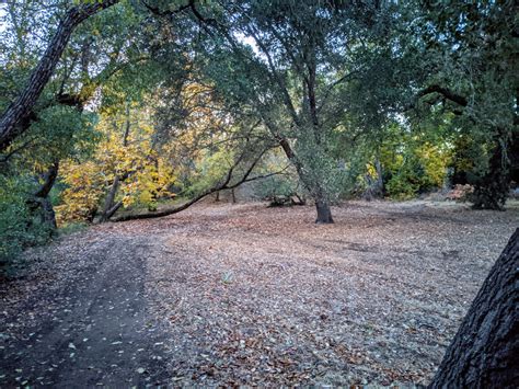 Thanksgiving Trip – Uvas Canyon – Keysers on the Road