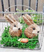 Image result for Indoor Bunny Cage Ideas