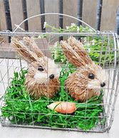 Image result for Baby Bunny Cage