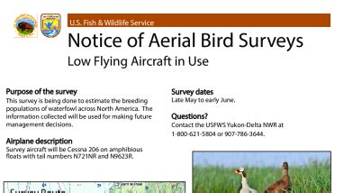 Notice of Aerial Bird Surveys - Low Flying Aircraft in Use | FWS.gov