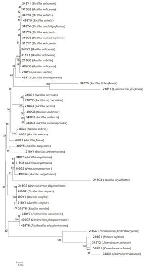 Culturable Screening of Plant Growth-Promoting and Biocontrol Bacteria ...