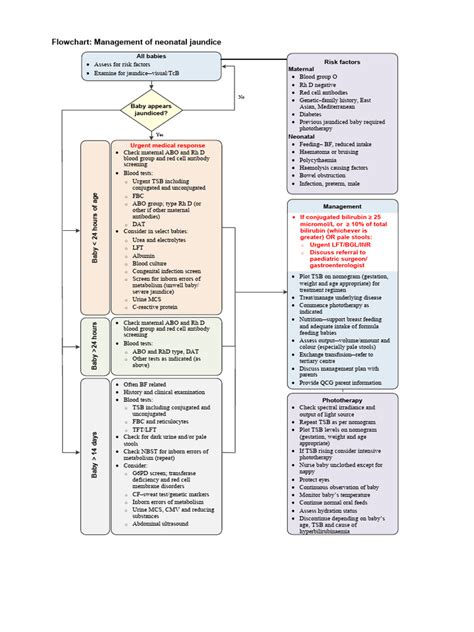 Image result for Neonatal Jaundice Algorithm