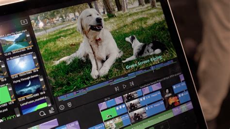 Image result for Filmic Pro Shutter Speed