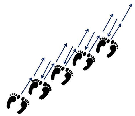 One Step Forward Two Steps Back Line Dance Instructions 的图像结果