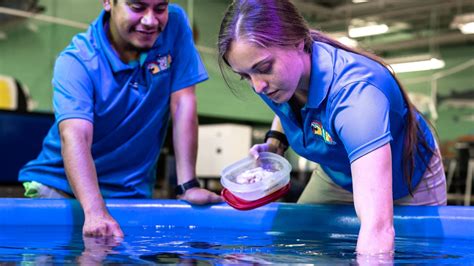 Open Aquarium - Davidson-Davie Community College