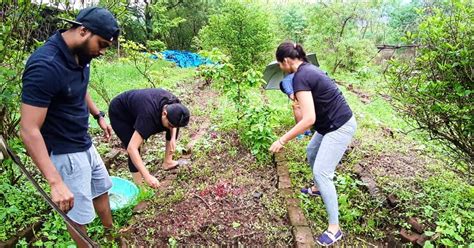 Learn Organic Farming At This One-Day Workshop | LBB, Mumbai