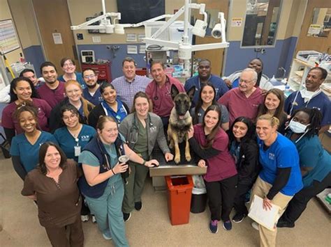 Westbury Animal Hospital