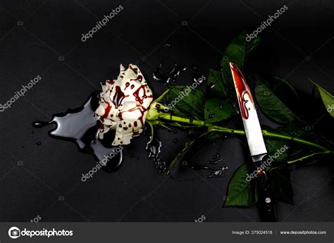 Beautiful Bloody White Rose Knife Dark Background Bloody Rose ...