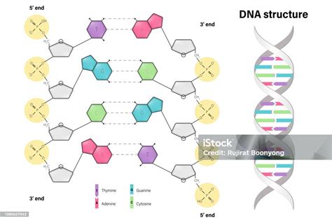 Image result for DNA Microarray Data