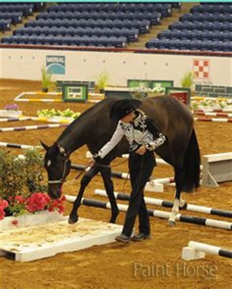 In Hand Trail Patterns 的图像结果