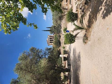 APEIRON ACROPOLIS SUITES (Athens) - Specialty Inn Reviews, Photos, Rate ...