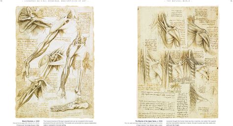 Leonardo da Vinci Drawings Masterpieces of Art | Book by Susan Grange ...