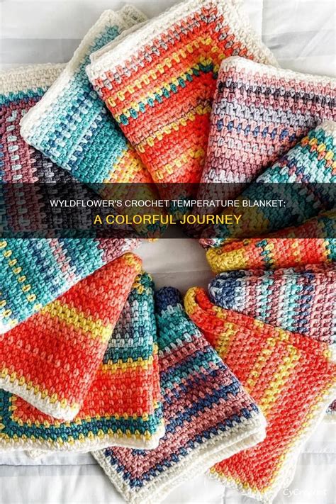Wyldflower's Crochet Temperature Blanket: A Colorful Journey | CyCrochet