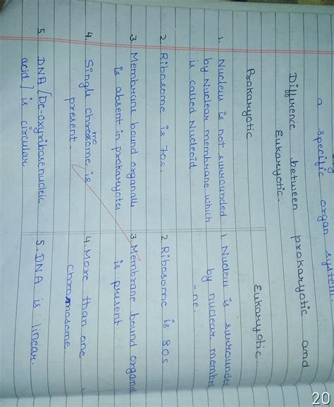 differentiate between the following procaryotes and Eucaryotes - Brainly.in