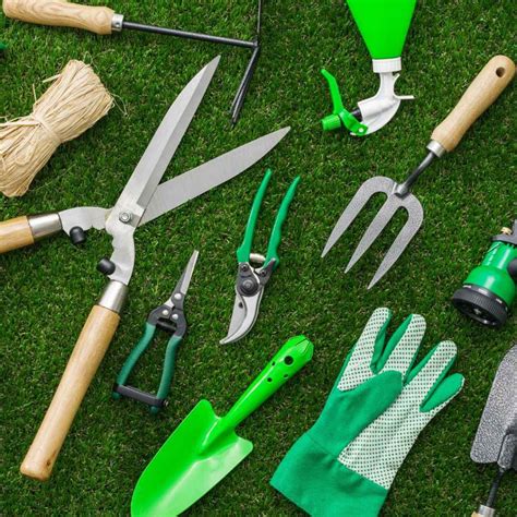 10 Use Of White Vinegar In Your Garden - Time Of Garden