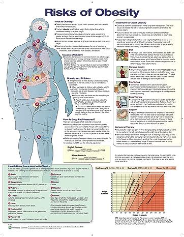 Buy Risks of Obesity Anatomical Chart Laminated Book Online at Low ...
