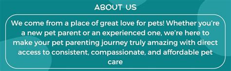 PETZOO Bird Toys Combo of 10 Cage Accessory for Budgies, Cockatiels ...