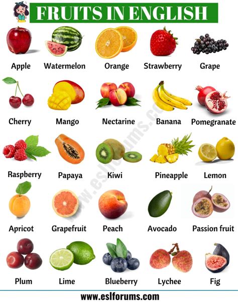 Image result for Sus GUI Example